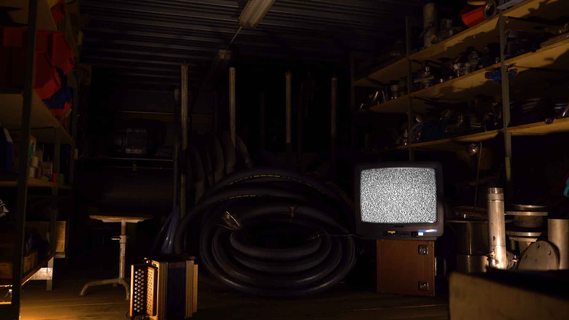 Kokolores Dominic Kallen Dominik Flückiger