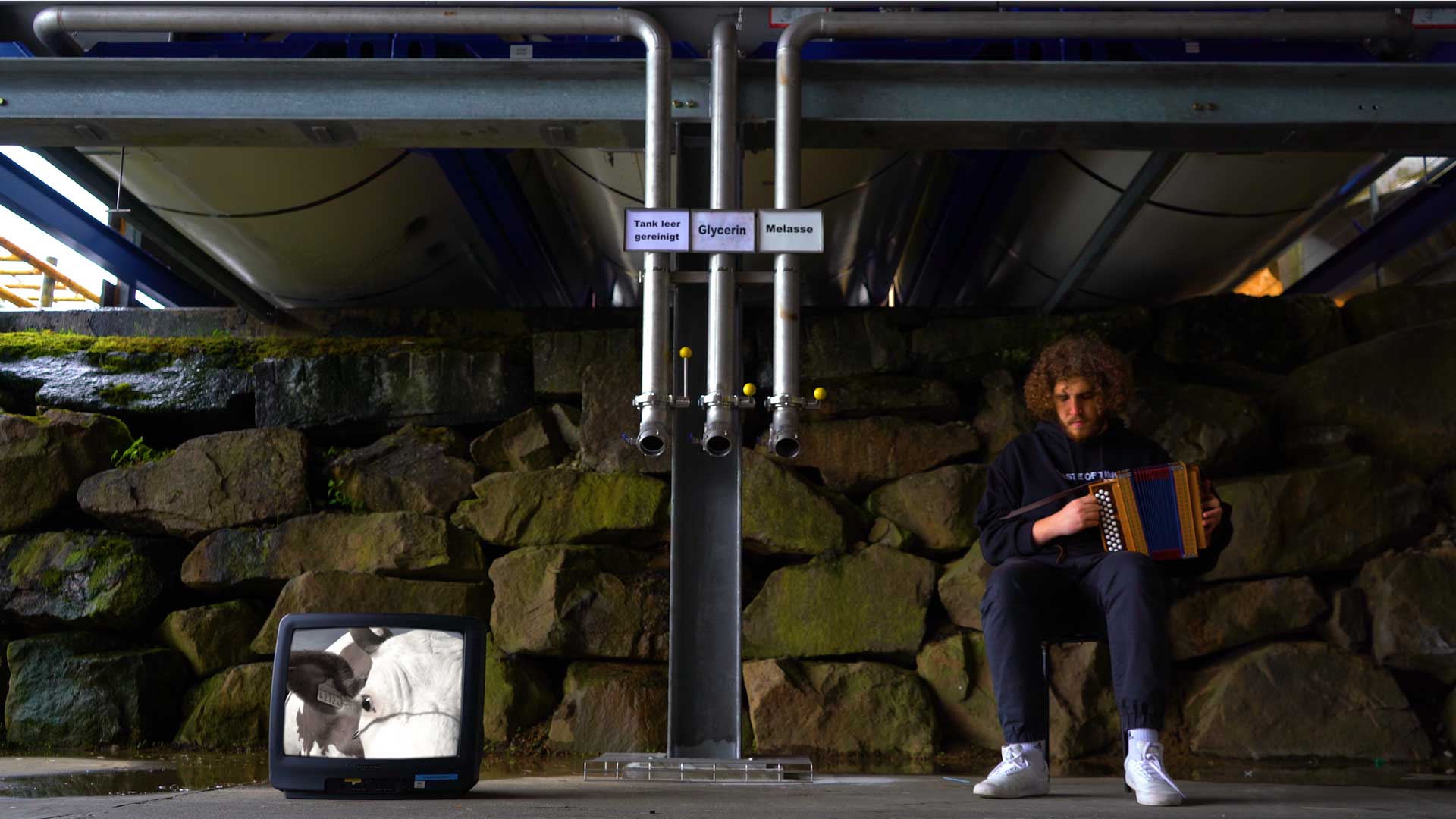 Kokolores Dominic Kallen Dominik Flückiger