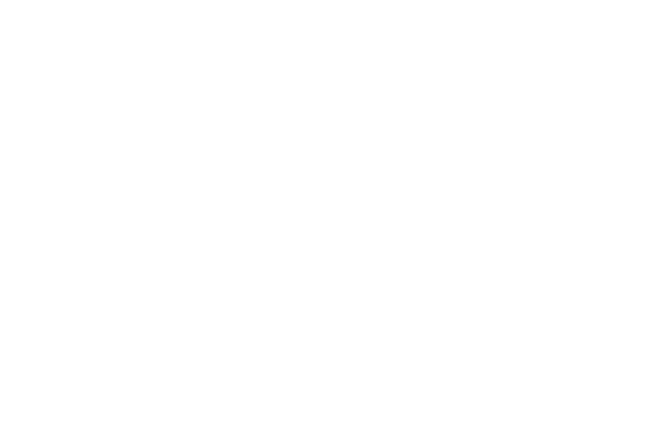die solarholzbauer allenbach